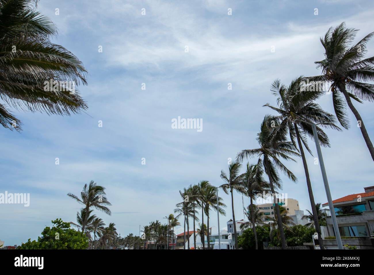 Palm framed view of the skyline of downtown Boca Del Rio, Veracruz, Mexico. Stock Photo