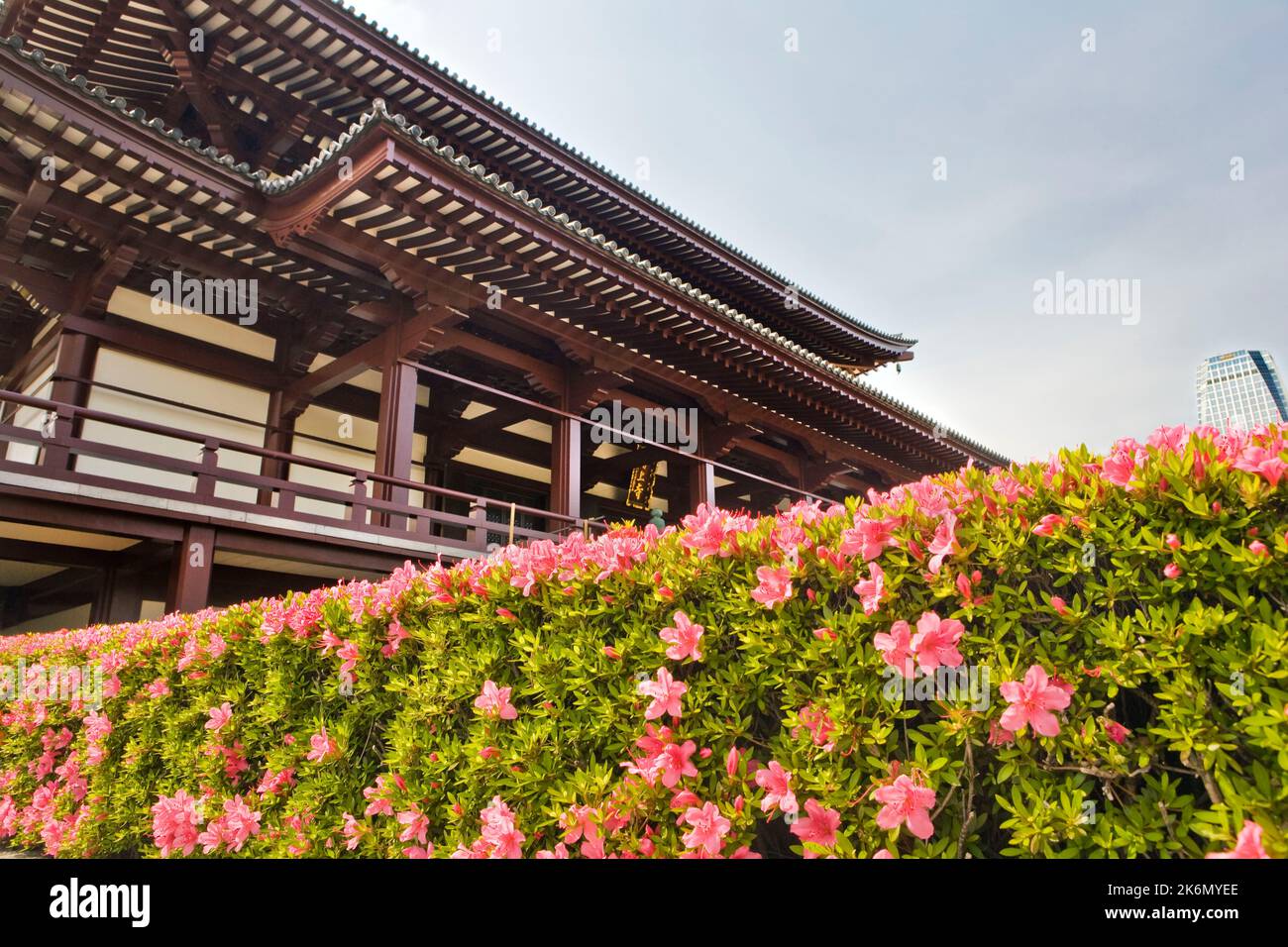 Roof azaleas Temple Zojoji Tokyo Japan Stock Photo