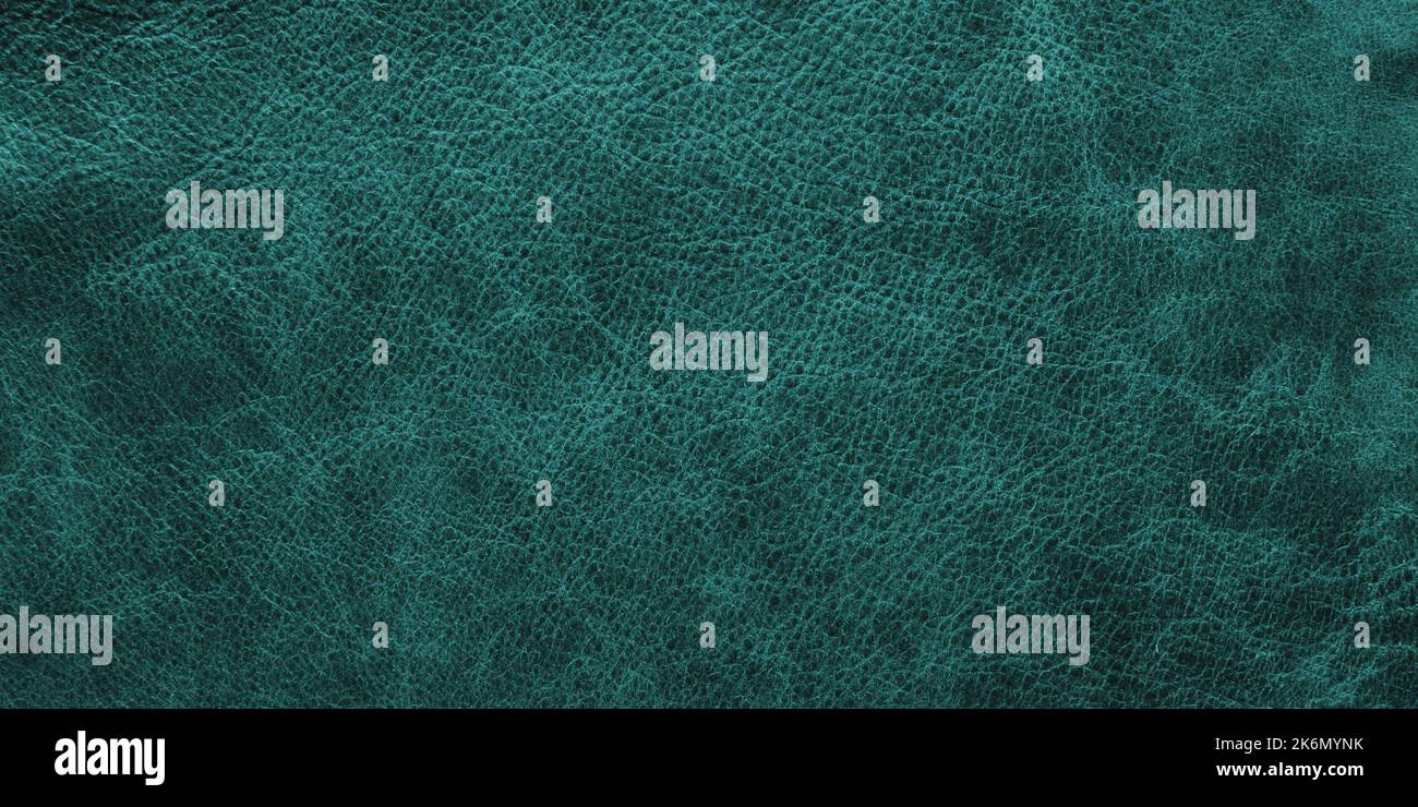 Green leather texture, close-up, background surface Stock Photo
