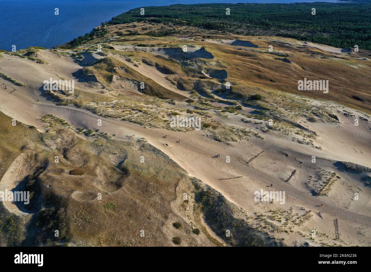 Aerial view of dead grey dunes in Curonian spit National park and reserve, Lithuania Stock Photo