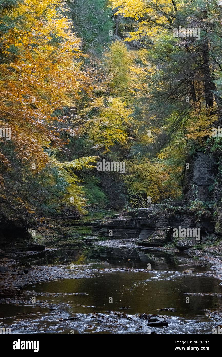 Usa. 14th Oct, 2022. New York State Fall Weather And Tree Color 