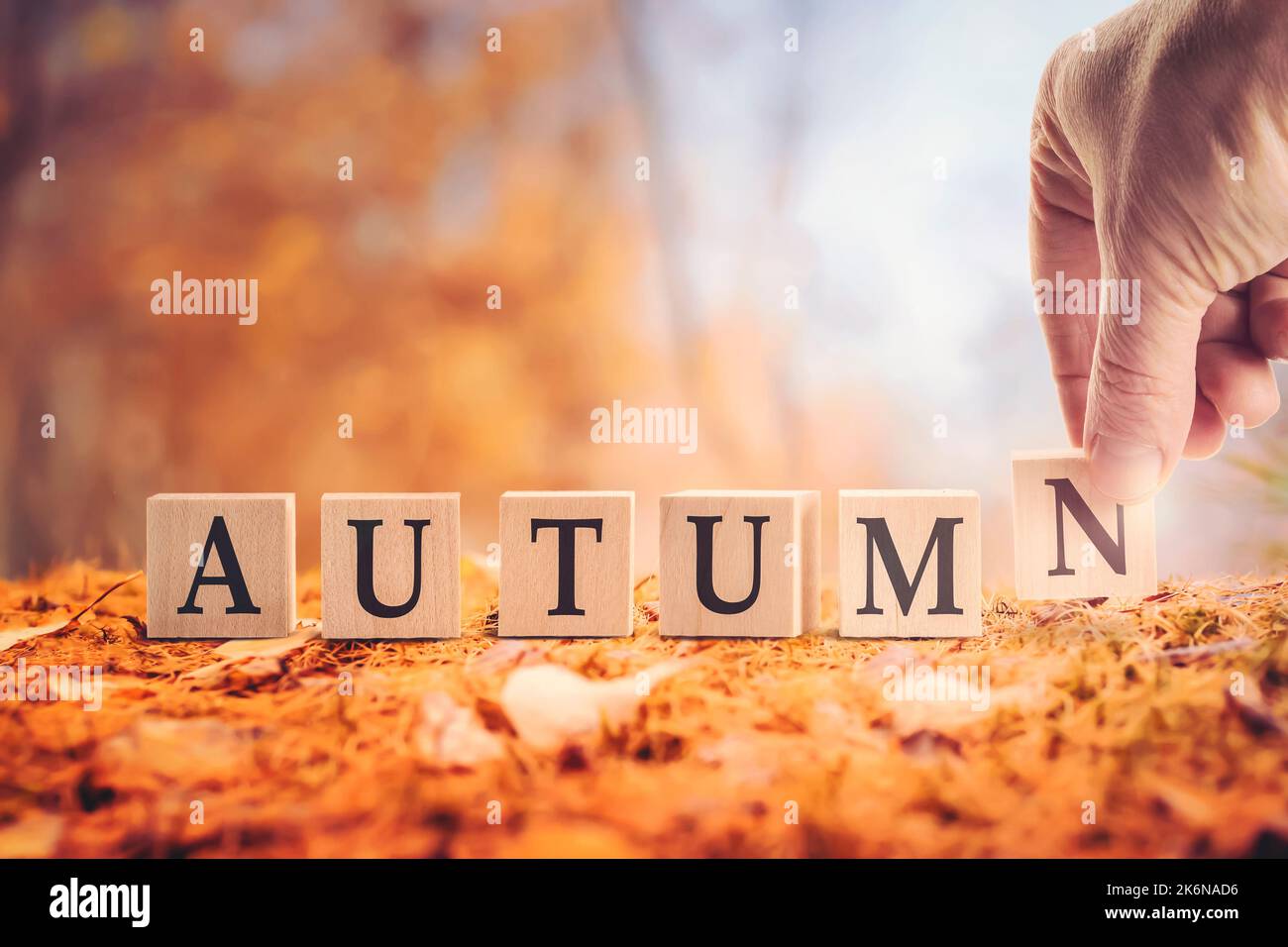 The word autumn from cubes in English. autumn background of leaf fall ...