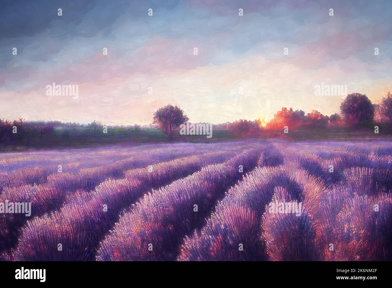 Beautiful purple lavender field at sunset. Painting effect Stock Photo ...