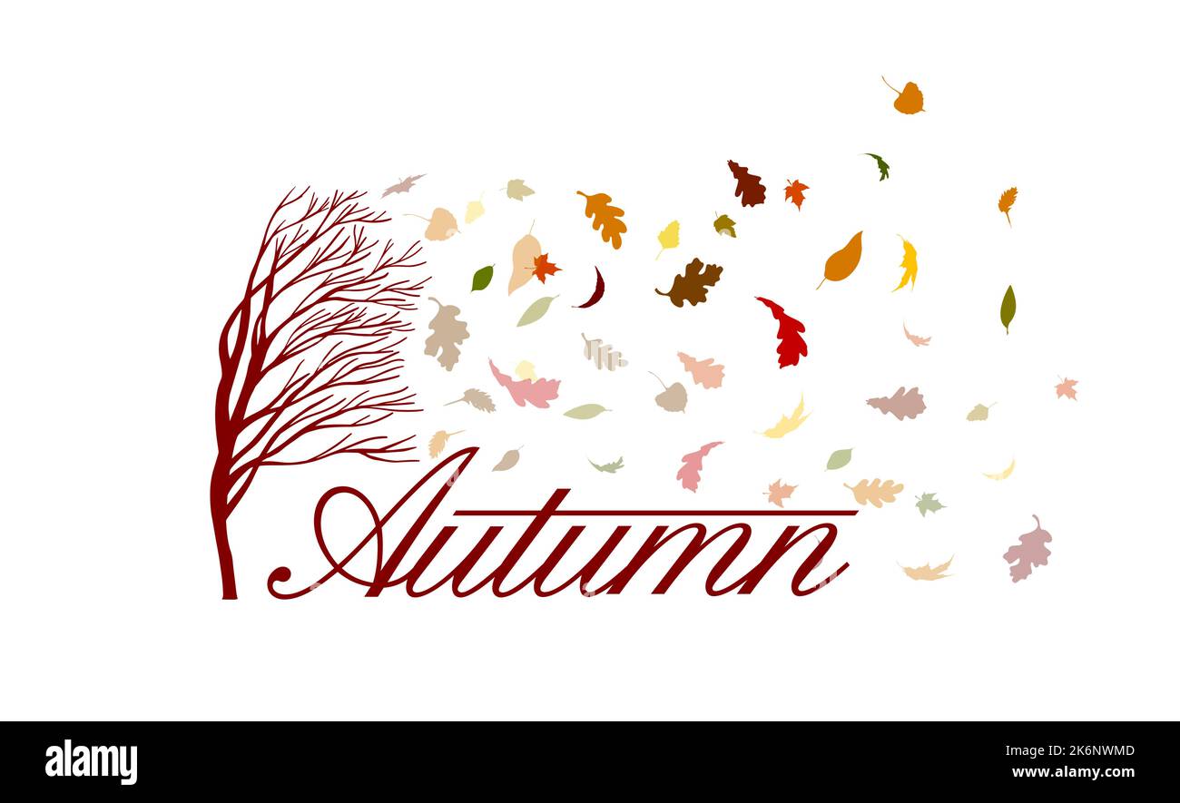 Autumn. Leaves fall off the tree. Sale Background Decorated with leaves