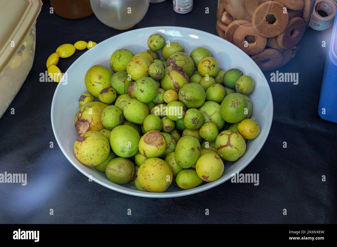 South American fruits known as mangabas of the tree Hancornia speciosa commonly called mangabeira on a white plate Stock Photo