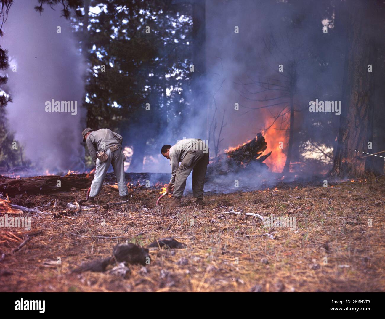 Photograph Operation Fire Fly. Photograph Operation Fire Fly