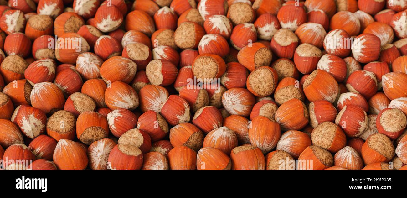 pile of Hazelnuts at market Stock Photo Alamy
