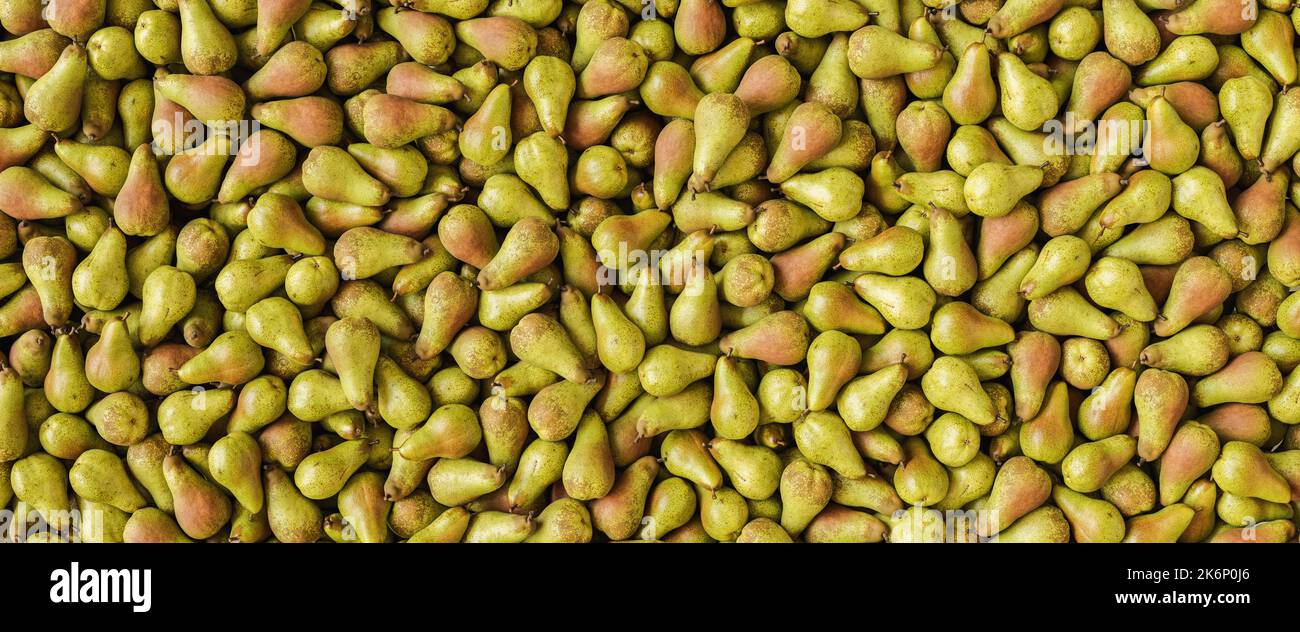 pile of Pears, banner size Stock Photo