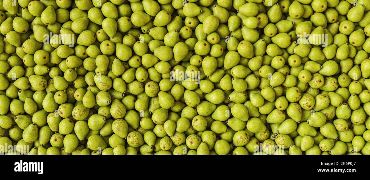 many Pears as a background, banner size Stock Photo