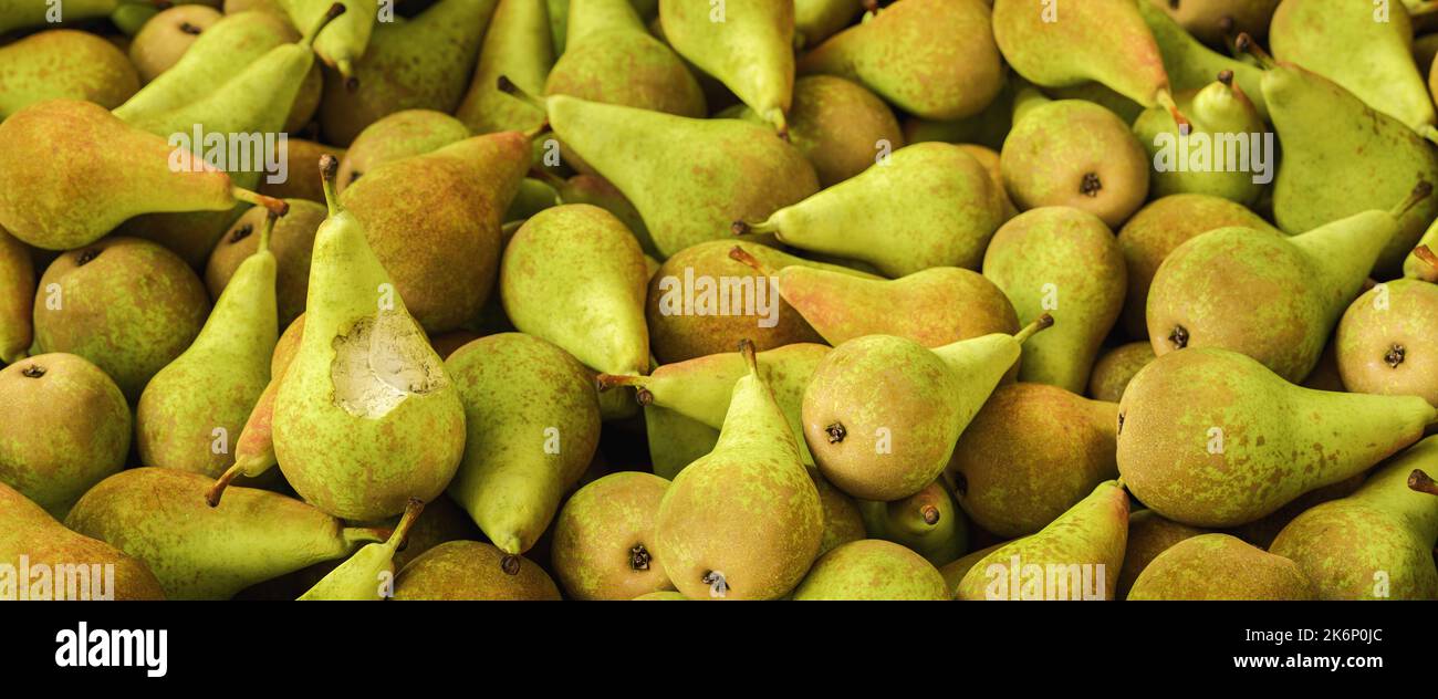 Lots of pears with bitten pear in a pile, vegan food Stock Photo