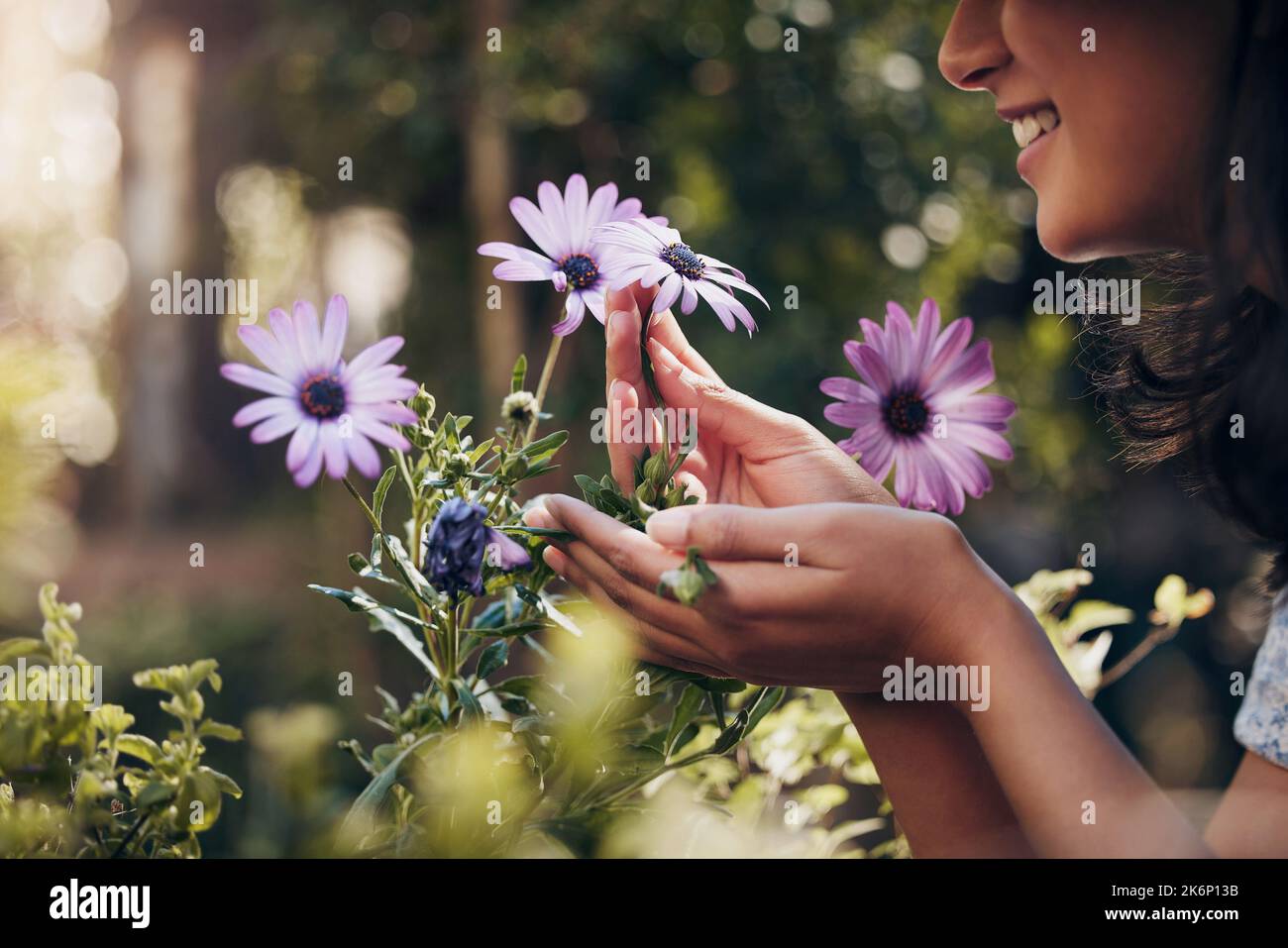Its like seeing an old friend. a unrecognizable florist working with her plants in her nursery. Stock Photo