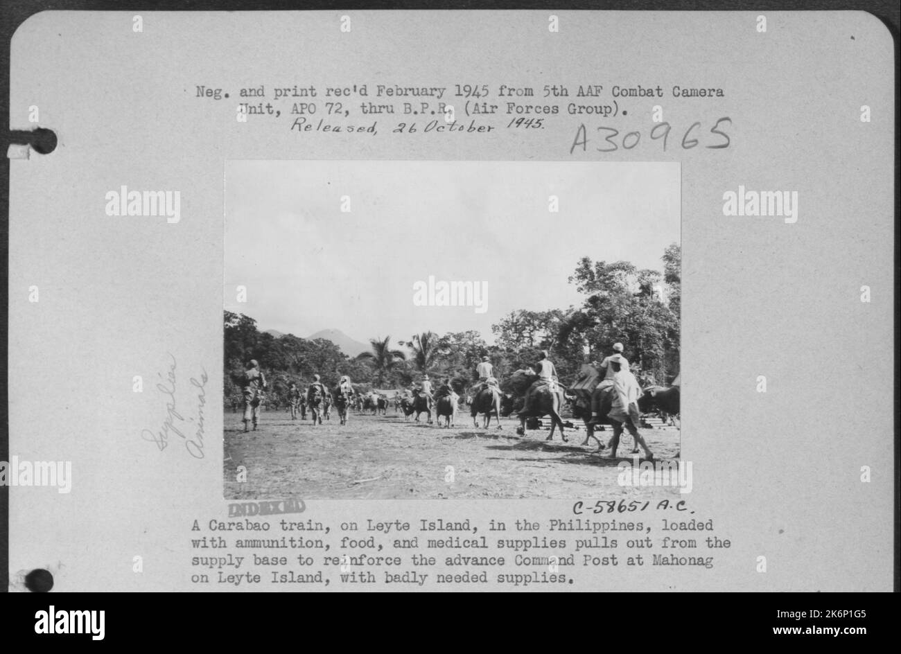 Philippines carabao Black and White Stock Photos & Images - Alamy