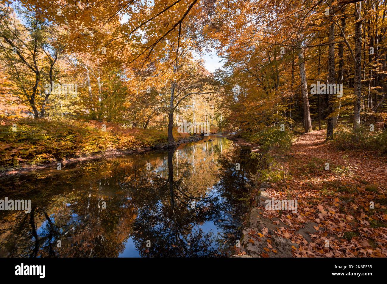 Stone Arch Bridge in Callicoon, NY, Catskill Mountains, surrounded by brilliant fall foliage on a bright autumn morning Stock Photo