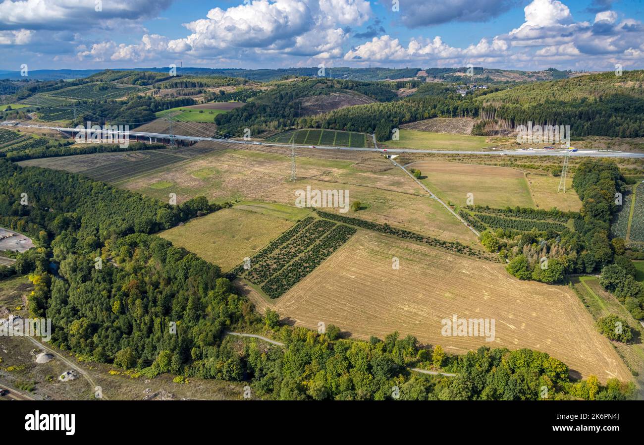 Aerial view, meadows and fields, highway A46, slope bridge Hammecke A46, Ostwig, Bestwig, Ruhr area, North Rhine-Westphalia, Germany, DE, Europe, Aeri Stock Photo
