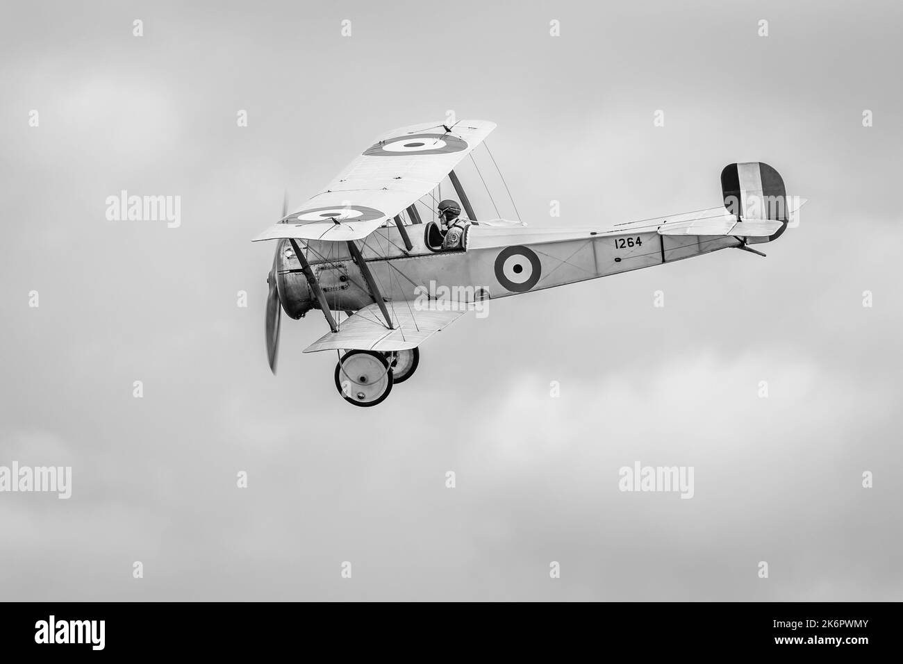 Bristol Scout Type C, No.1264, airborne at the Race Day airshow held at