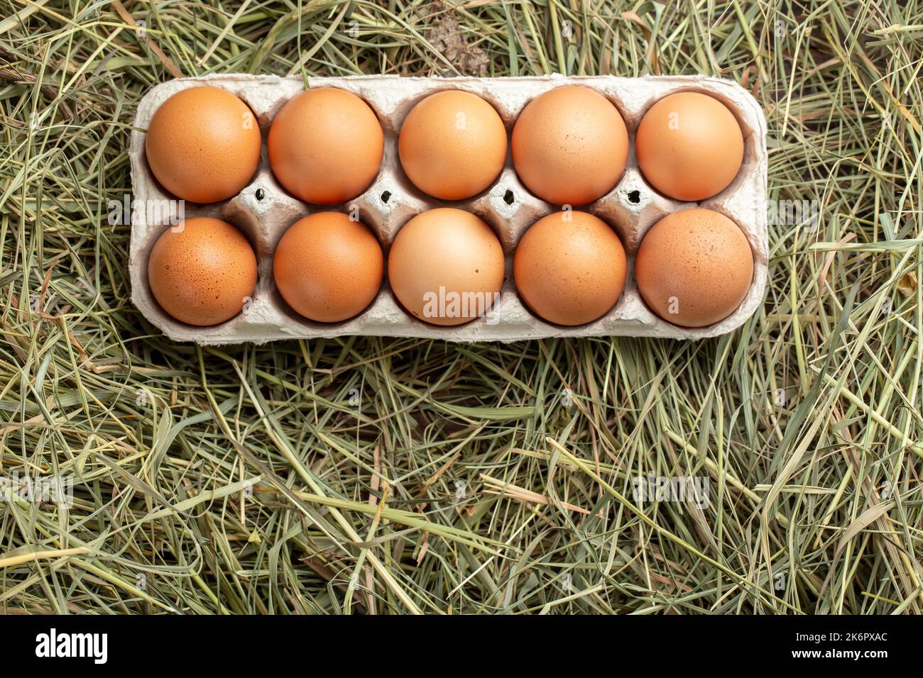 Chicken eggs in a tray and in hay. Farming concept Stock Photo - Alamy