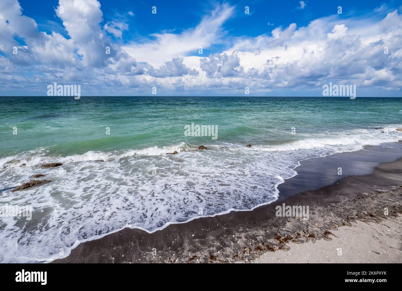 Gulf of Mexico at Caspersen Beach in Venice FLorida USA Stock Photo