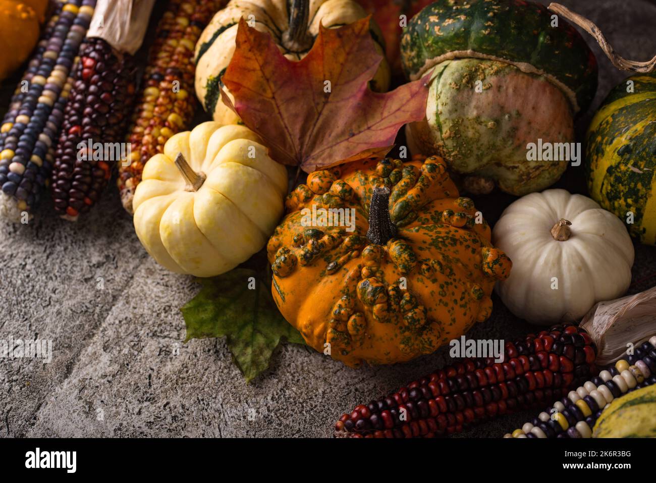 Autumn still life with pumpkin Stock Photo - Alamy