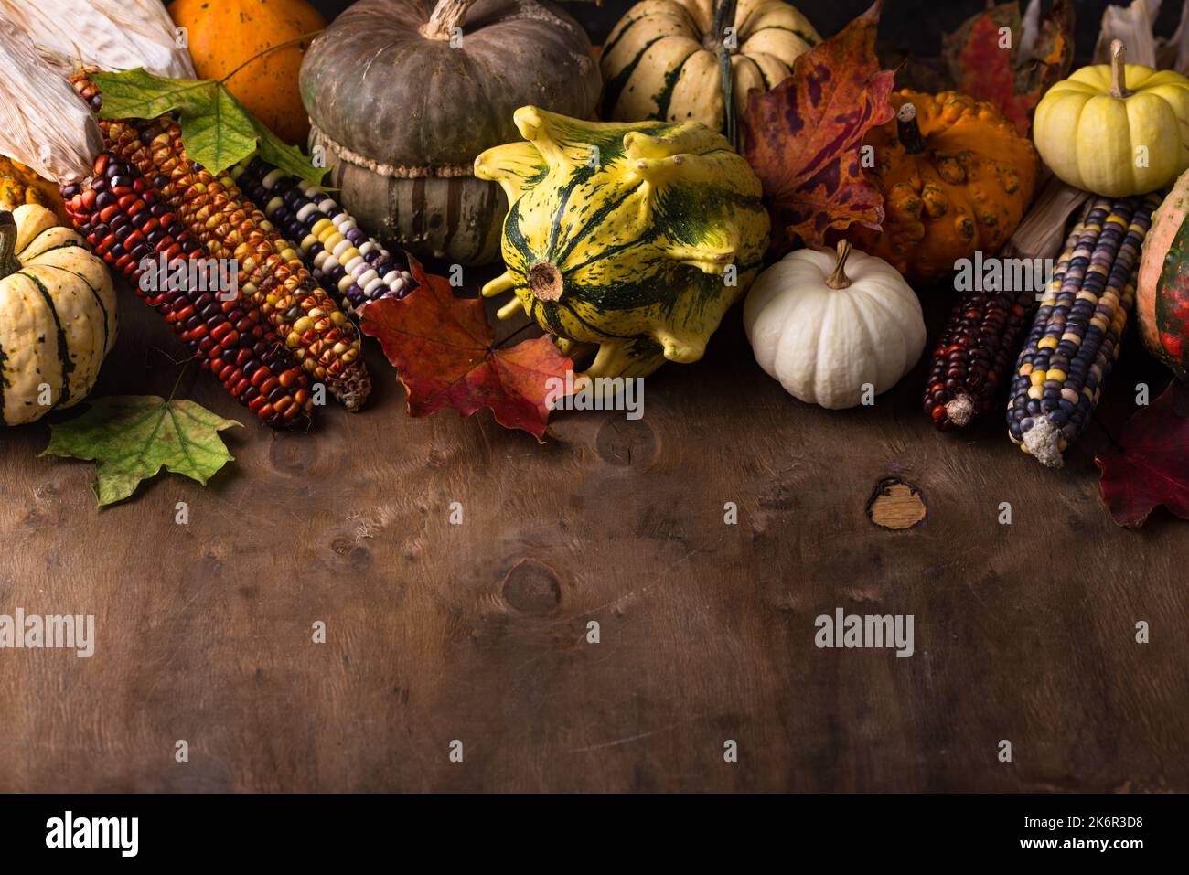 Autumn still life with pumpkin Stock Photo - Alamy