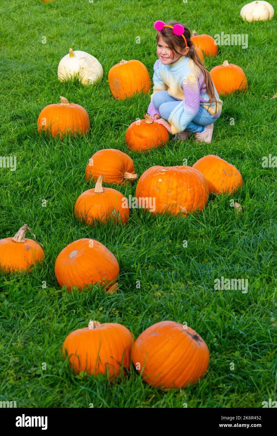 Totton, Hampshire, UK. 15th October 2022. Thousands visit Sunnyfields