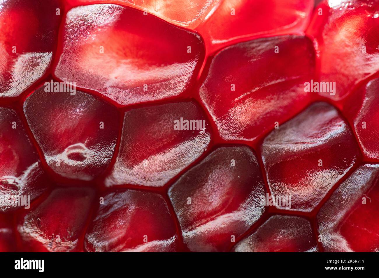 Close up shot of pomegranate seeds in a segment Stock Photo