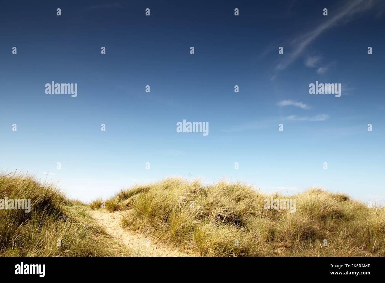 sand dunes along the cost of norfolk in old Hunstanton Stock Photo - Alamy