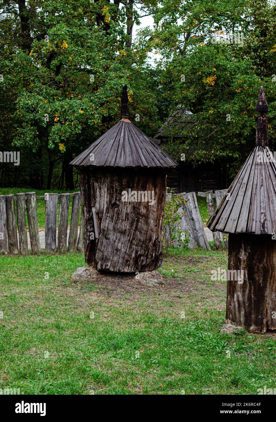 Rustic wooden tree hut in a forest formed from the trunk of a tree with