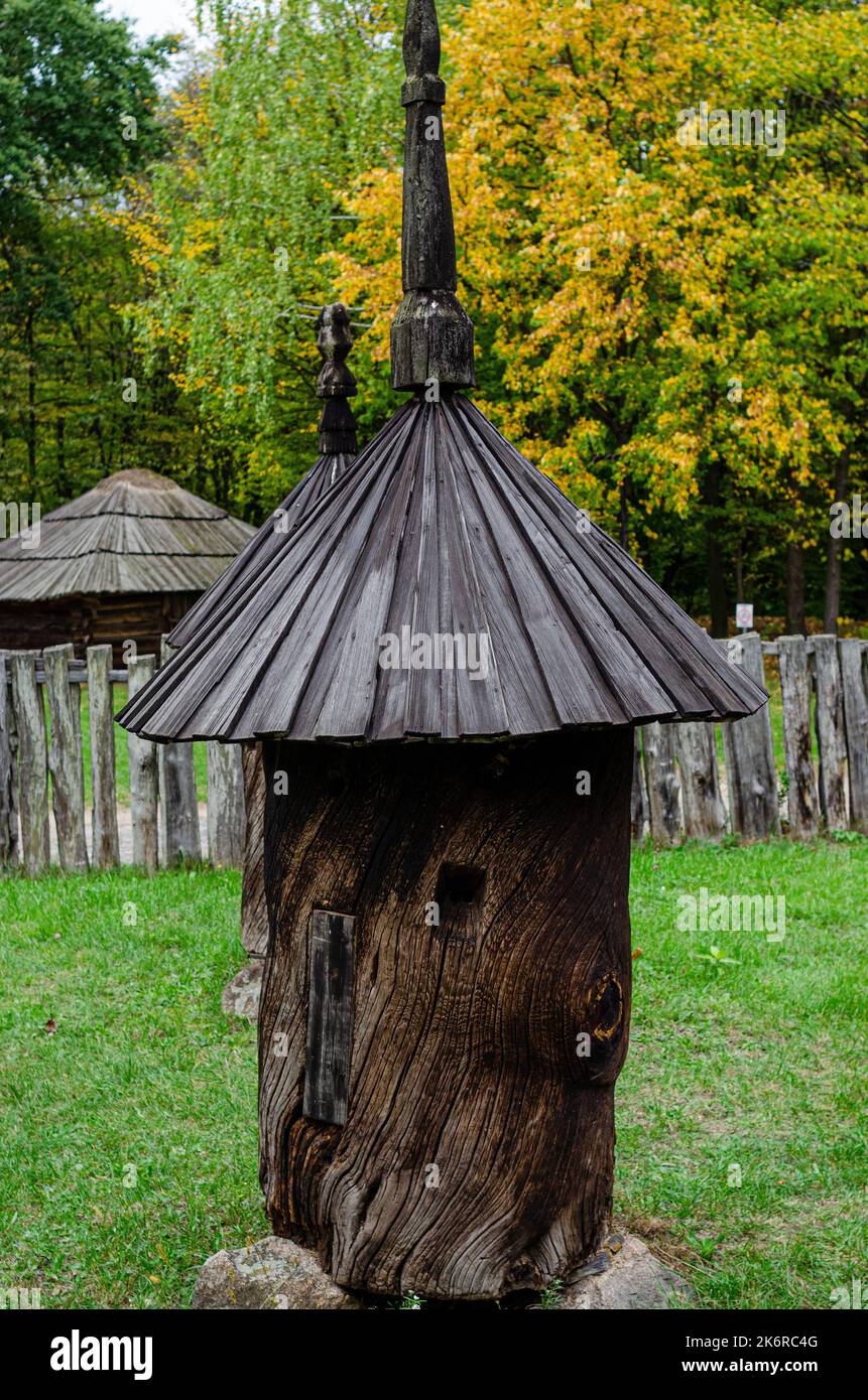 Rustic wooden tree hut in a forest formed from the trunk of a tree with
