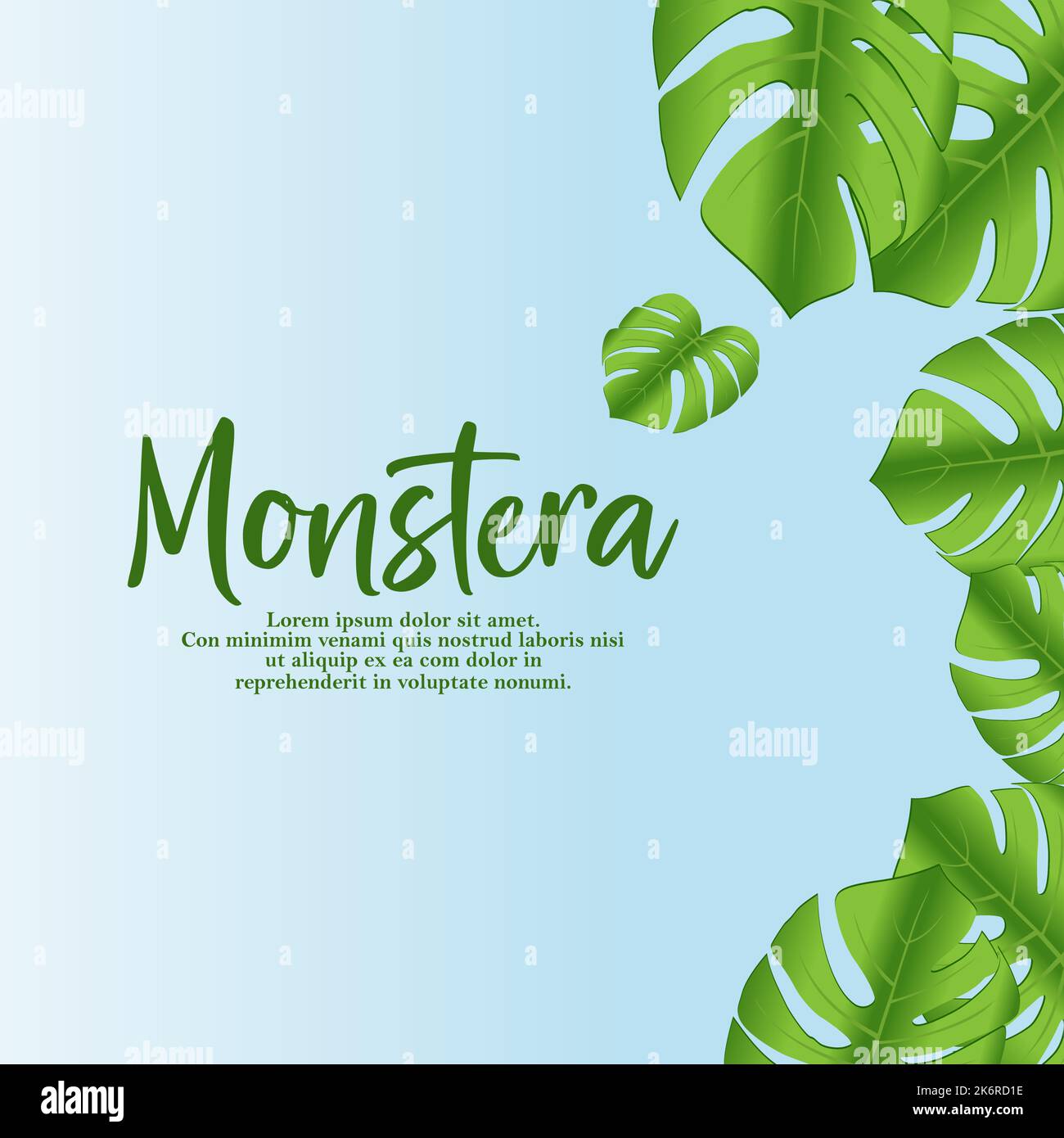 Monstera leaves border frame template on white background. Vector design illustration. Stock Vector