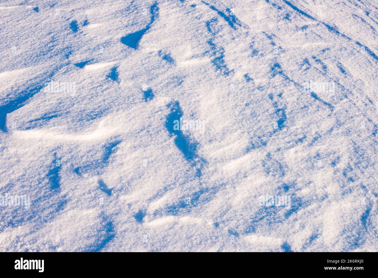 Background of fresh snow, blue shadows Stock Photo