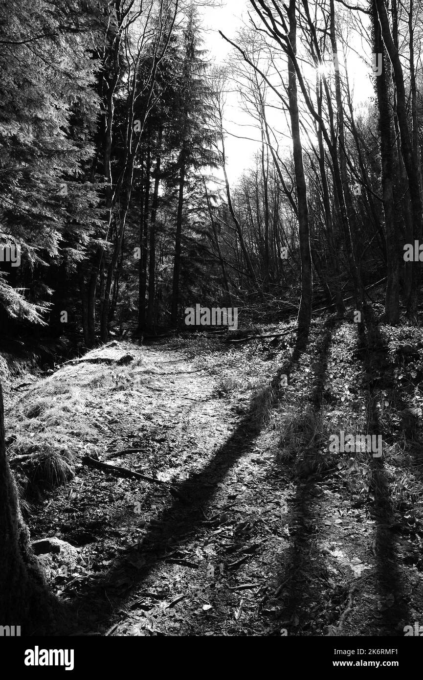 Around the old Gunpowder Works, near Pontneddfechan Stock Photo Alamy