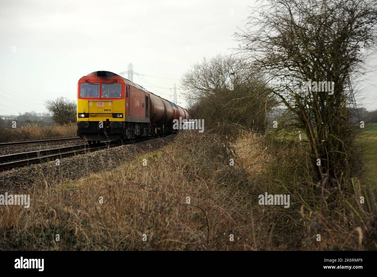'60019' 'Port of Grimsby & Immingham' east bound near Portskewett with a Robeston - Westerleigh train. Stock Photo