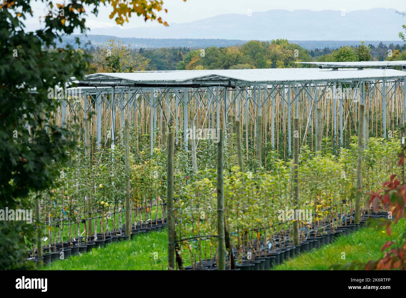arbeitssuche ravensburg