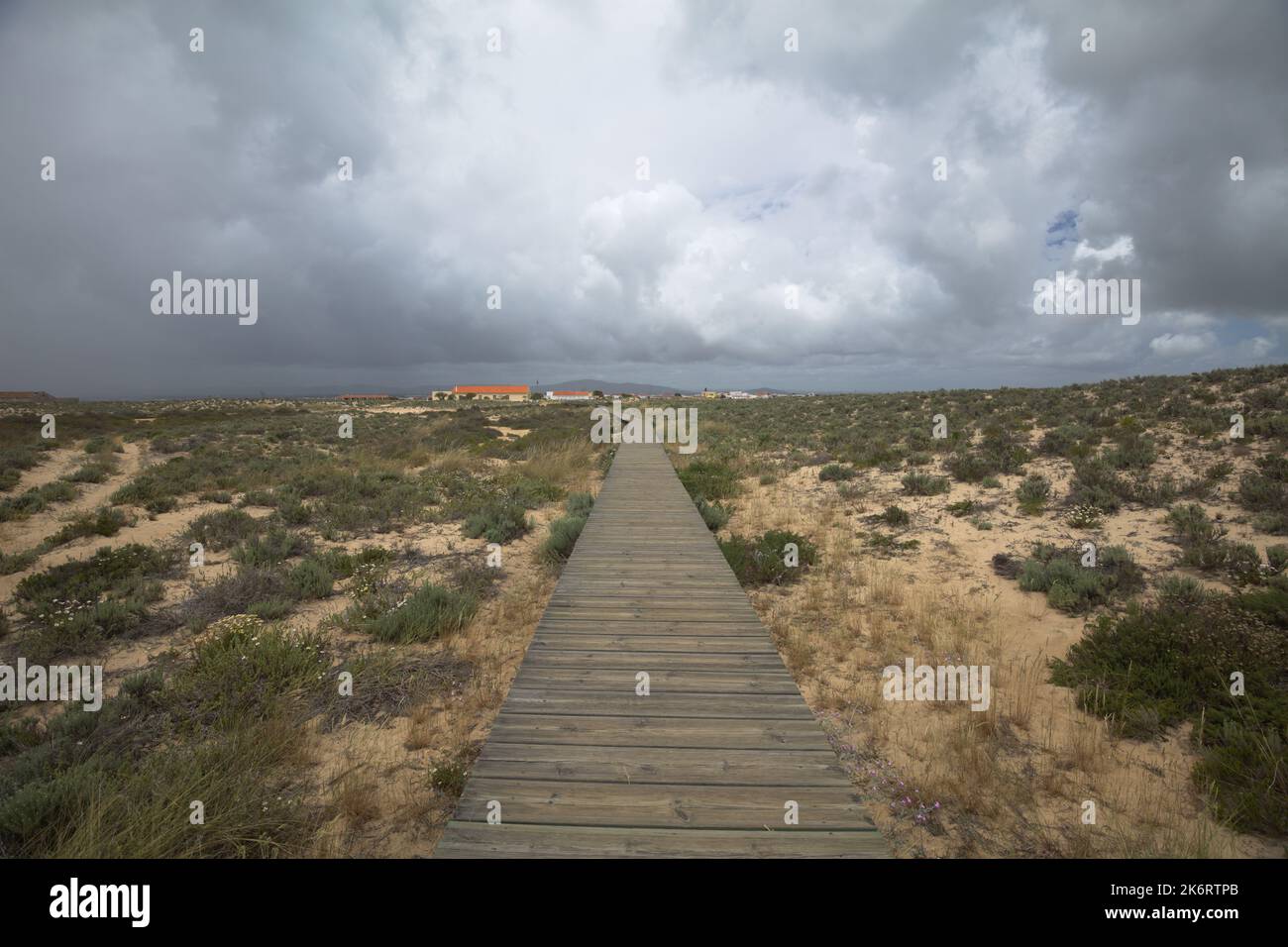Pathway to the beach on Culatra Island in Ria Formosa Natural Park, Portugal Stock Photo