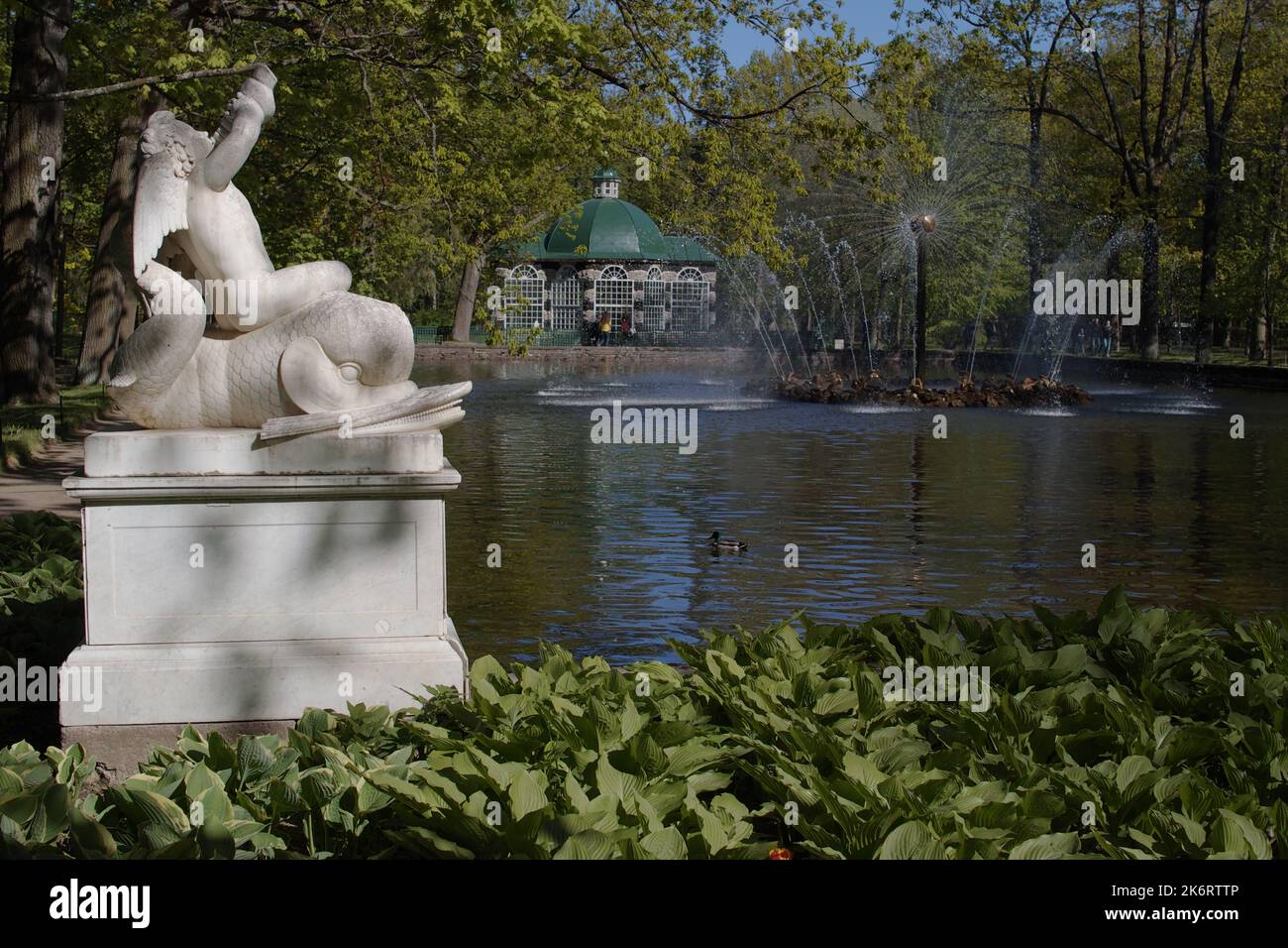 Sculpture Boy On A Dolphin against the Menagerie pond with the fountain Sun in the Lower Park of Peterhof, St. Petersburg, Russia Stock Photo
