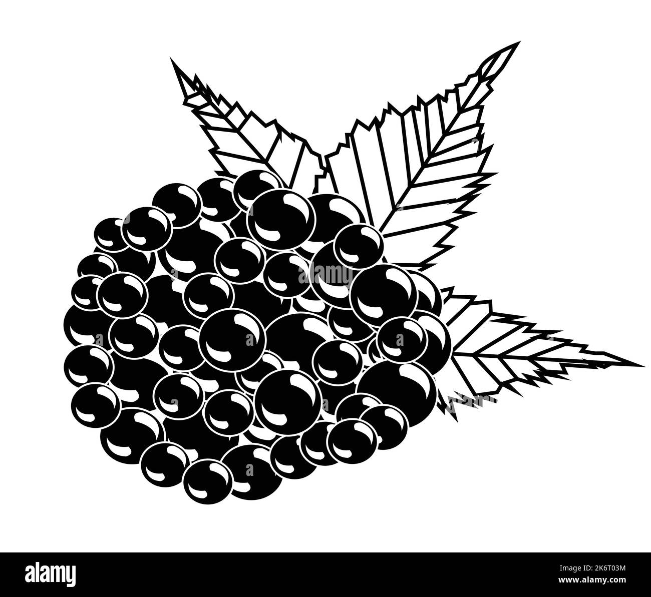 Black and white black berry design.Best graphic resources illustration. vector graphic design for icons and symbols and logo designing and stationery Stock Vector