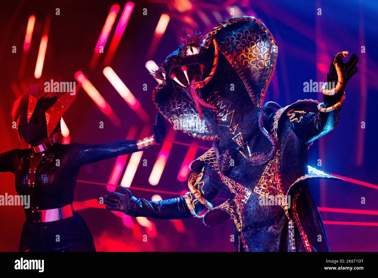 The black mamba singer hi-res stock photography and images - Alamy