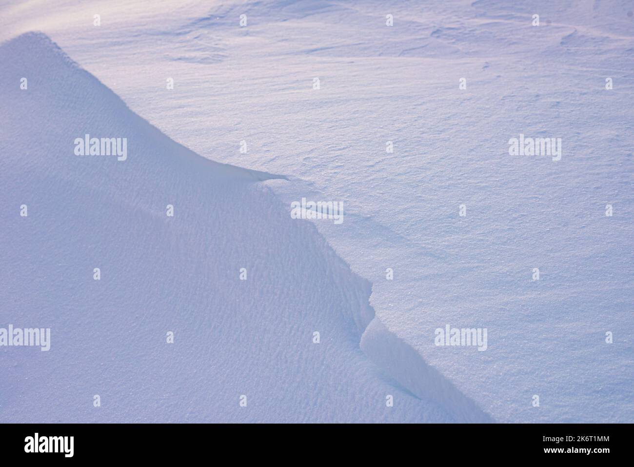 Background of fresh snow, blue shadows Stock Photo