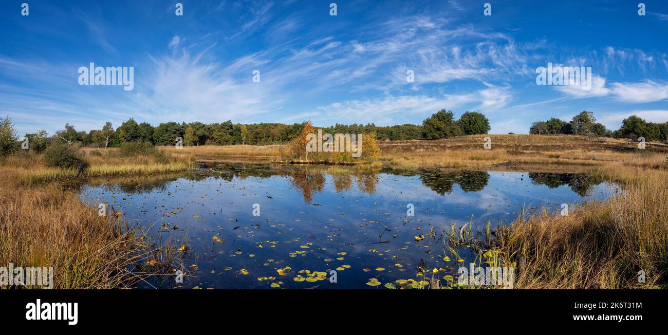 The Rolvennen lakes in the National Park Meinweg near Roermond Stock Photo