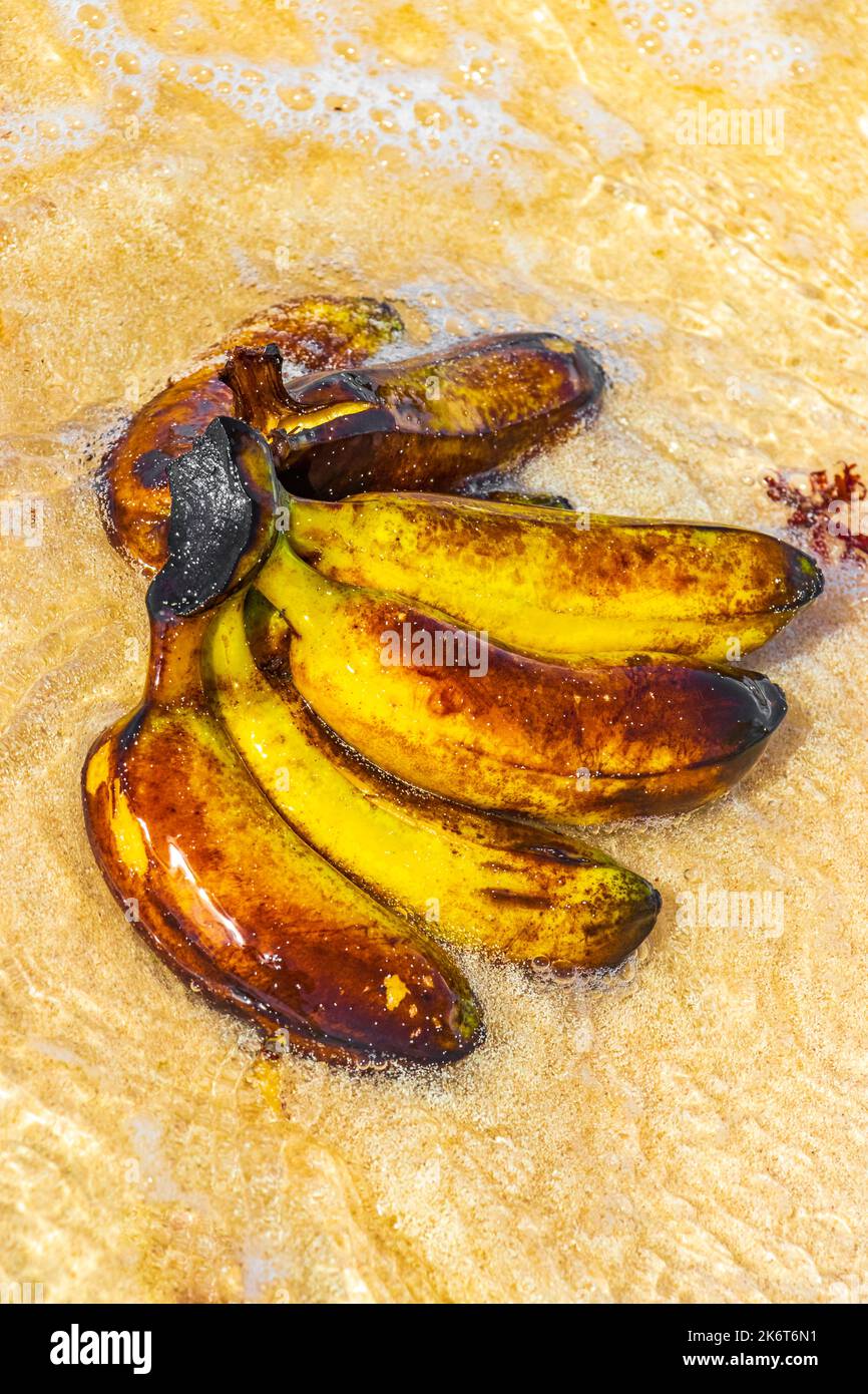 Banana bundle fruits floats in water on beach in Playa del Carmen