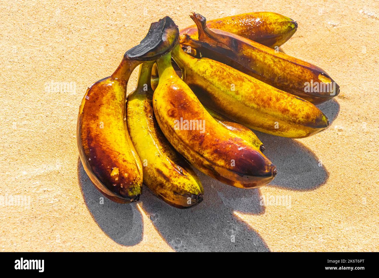 Banana bundle fruits floats in water on beach in Playa del Carmen