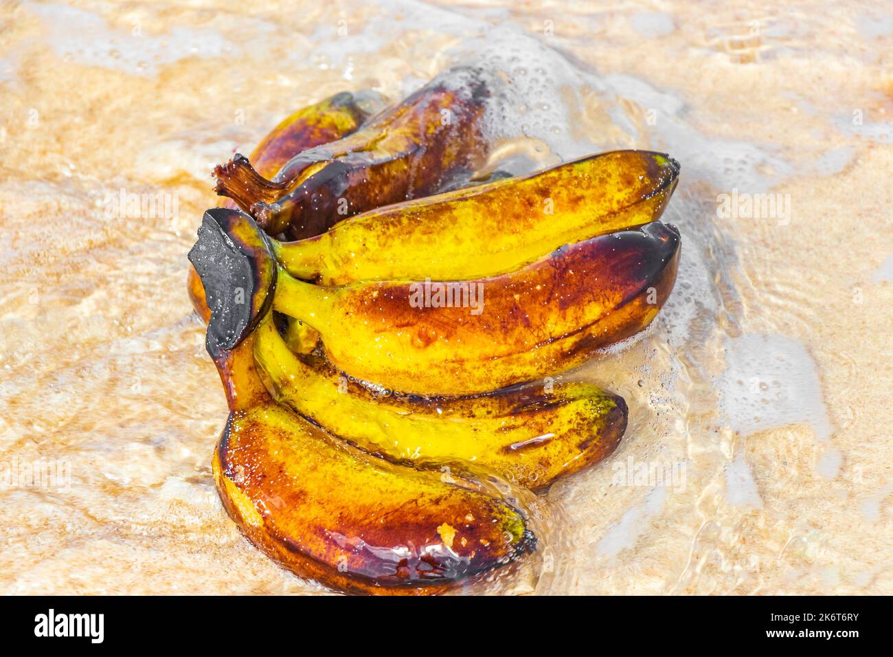 Banana bundle fruits floats in water on beach in Playa del Carmen