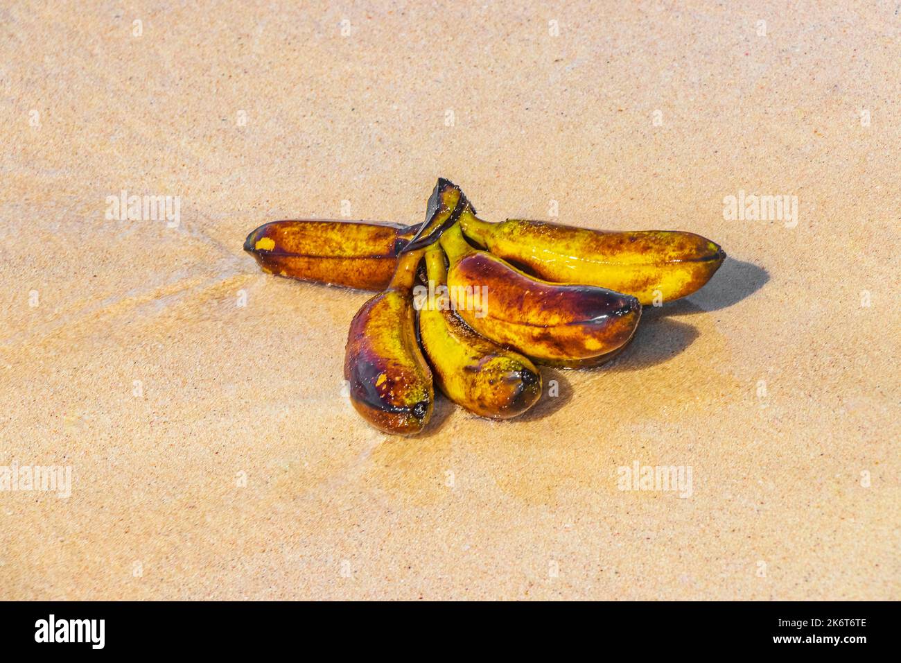 Banana bundle fruits floats in water on beach in Playa del Carmen