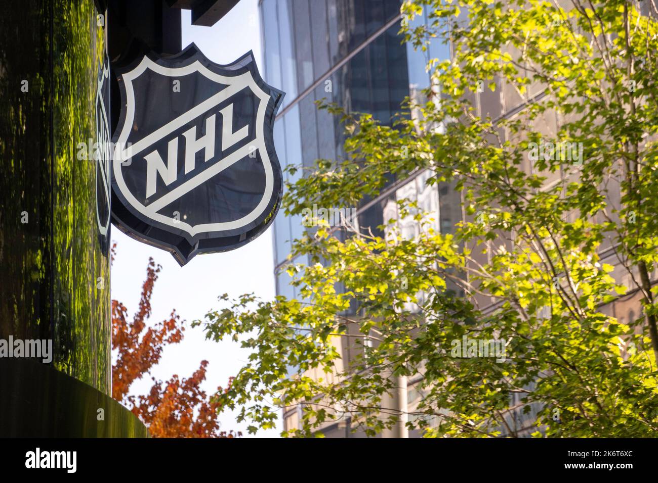 Dallas stars logo nhl hi-res stock photography and images - Alamy