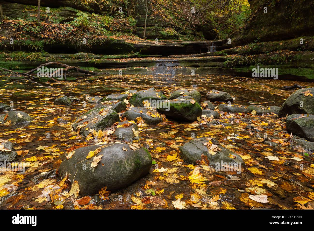 Waterfall at Giant's Bathtub on a October morning. Matthiessen State