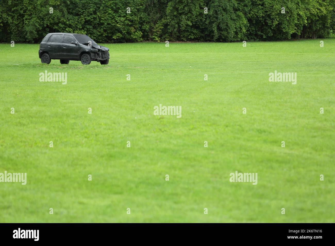 Sculpture Alter Ego by Peter Weidenbaum 2007, car, meadow, single, spa garden, Bad Homburg, Taunus, Hesse, Germany Stock Photo