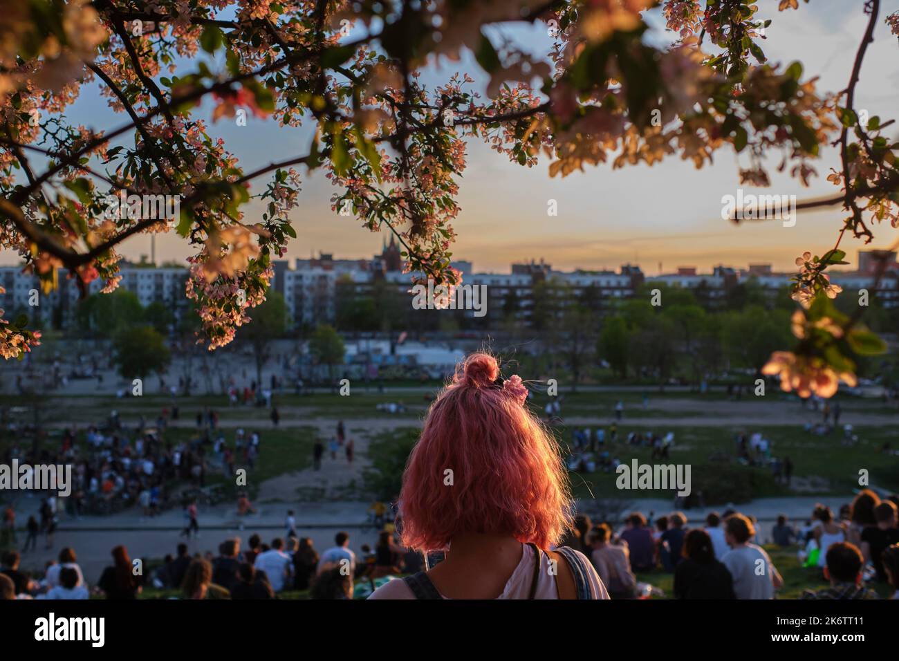 Germany, Berlin, 09. 05. 2021, Sunday afternoon in Mauerpark, meadow on a slope, woman with pink hair in front of pink flowers, evening light Stock Photo