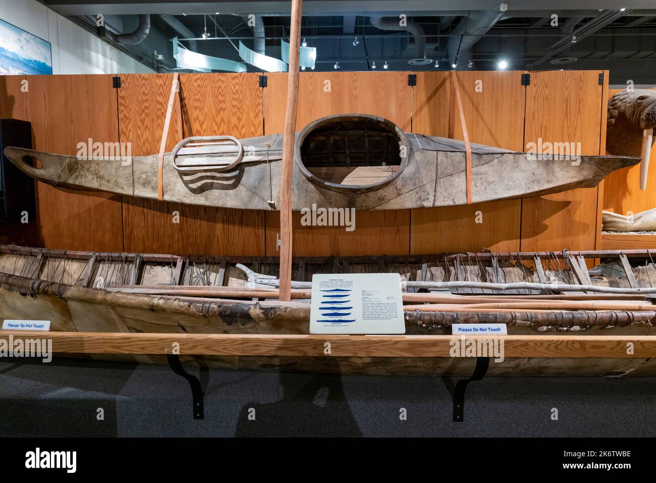 Historic aboriginal kayak; University of Alaska; Museum of the North