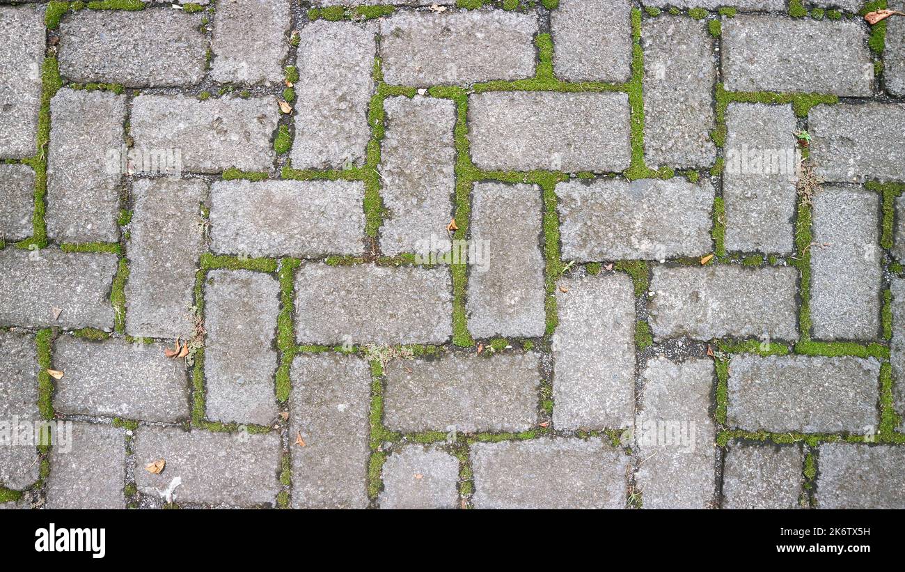paving block texture with mossy gaps as background Stock Photo