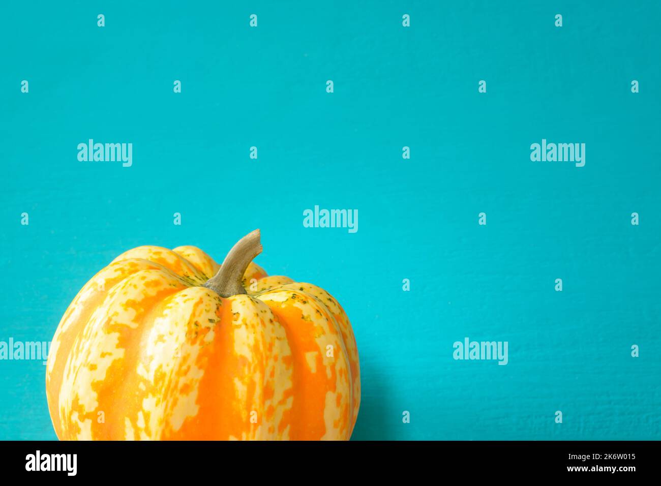 Turquoise background with part of an orange mottled pumpkin in its skin in a horizontal format Stock Photo